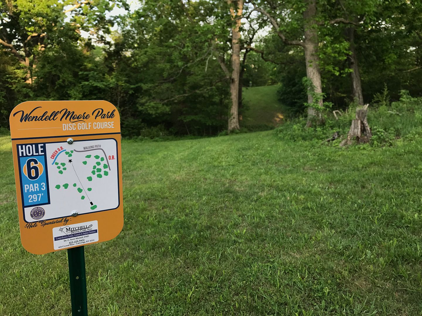 Disc Golf at Wendell Moore Park Oldham Family Fun